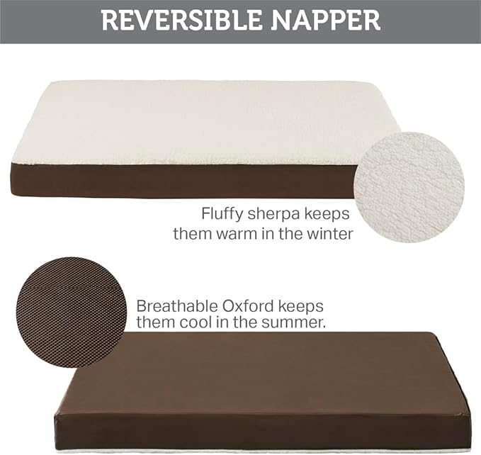 Friends Forever Orthopedic Dog Bed, Cooling Dog Beds with Removable Washable Cover, Reversible Pet Bed Mat with Memory Foam, Washable Removable Cover, Kato Khaki, 30x20x3 (Pack of 2)