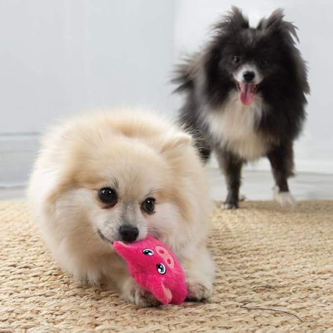 KONG Snuzzles Kiddos Mini Extra Small Dog Toy - Soft Plush Squeaky Toy for Small Dogs & Puppies (Duck/Pig Combo)