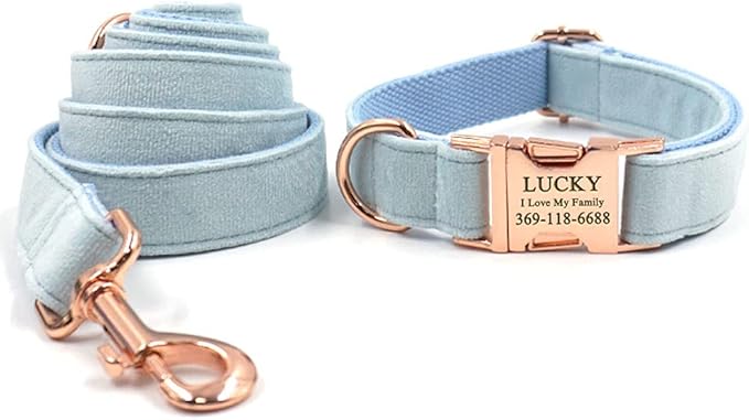 PETDURO Custom Dog Collar Personalized with Name Engraved Quick Release Rose Gold Metal Buckle for Large Medium Small Girl Dogs - Dog Leash and Bow Tie Available - Soft Comfy Velvet (Sky Blue, M)
