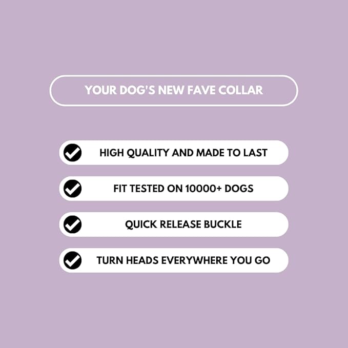 Spark Paws Tactical Dog Collar - Heavy Duty, Premium Quality, Thick and Durable for Large and Medium Dogs - Purple - S - 1.5"