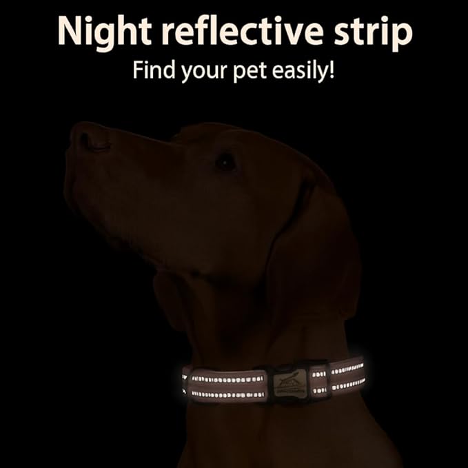 Dog Collar with AirTag Holder, QR Code Tracking, Paw Print Covers, Multi-Color (Blue)