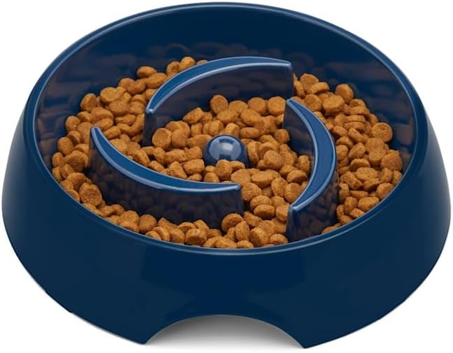 EveryYay by Petco Take it Slow Navy Plastic Slow Feeder Dog Bowl Large