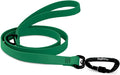 DogTraxs - Essential Dog Leash - Biothane Training Lead - for Small-Large Dogs - Waterproof & Odor Resistant -Self Locking Swivel Carabiner Durable -Made in USA - 3 Feet -Emerald Green