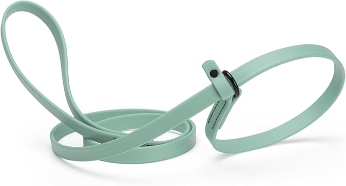Dogline Biothane Slip Dog Leash - for Small, Medium and Large Dogs - Odor Free Slip Lead, Heavy Duty and Durable Material Kennel Lead - Sage Green - 7ft L x 5/8in W