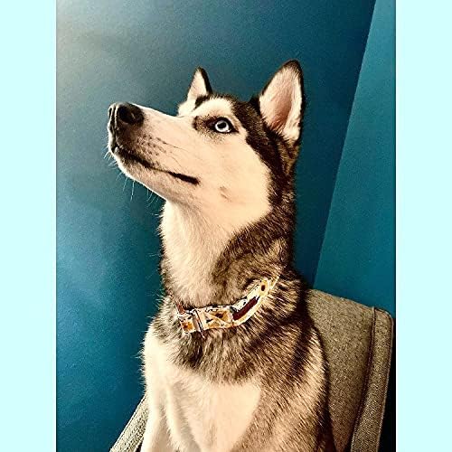 Elegant little tail Sunflower Girl Dog Collar for Female Dogs, Pet Collar Adjustable Dog Collars with Flower Gift for Small Dogs and Cats