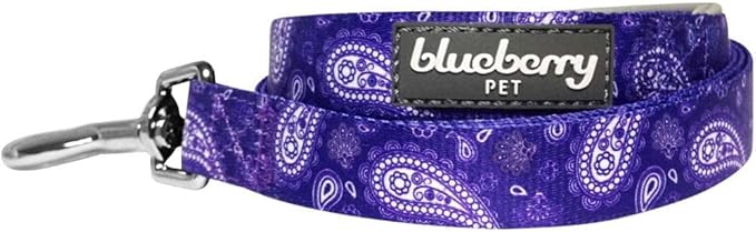 Blueberry Pet 5 Colors Paisley Flower Print Dog Leash with Soft & Comfortable Handle, 4 ft x 1", Violet, Large, Leashes for Dogs