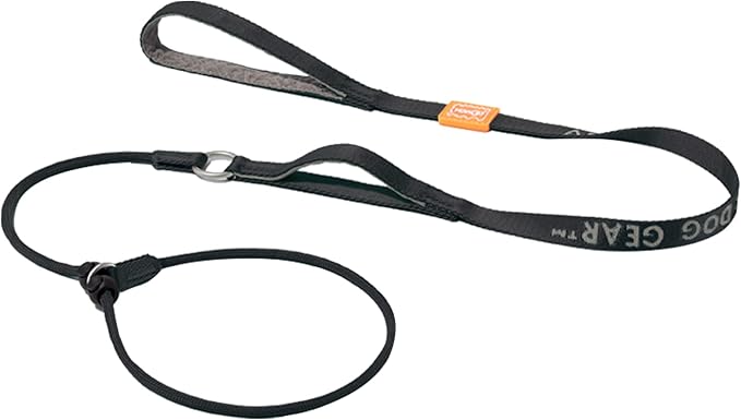 Howgo Dog Slip Lead Dog Leash, Training Lead, No-Pull Slip Leash and Collar, Heavy Duty & Durable Nylon, Padded Handle, for All Breeds (Black, 5FT)