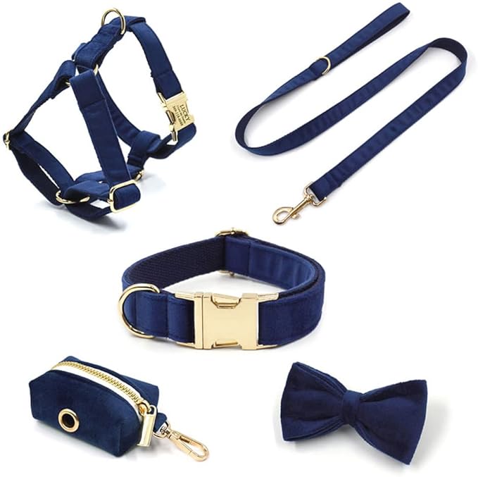 PETDURO Custom Dog Collar Personalized with Name Engraved Quick Release Rose Gold Metal Buckle for Large Medium Small Girl Dogs - Dog Leash and Bow Tie Available - Soft Comfy Velvet (Dark Blue, M)