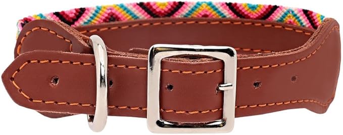Eternia Premium Leather Dog Collar - Adjustable Handcrafted Collar for Small to Large Dogs (Pink/Orange, S)