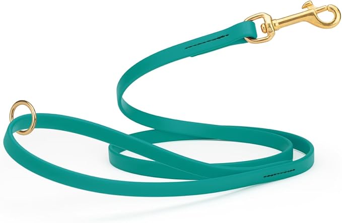 Viper Biothane K9 Working Dog Leash Waterproof Lead for Tracking Training Schutzhund Odor-Proof Long Line with Solid Brass Snap for Puppy Medium and Large Dogs 6ft, Blue Aqua