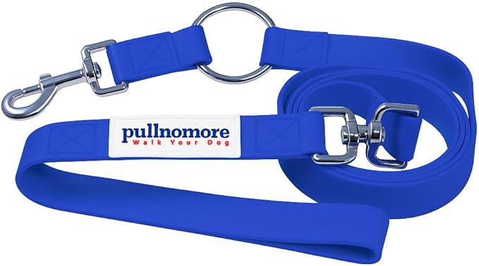 No-Pull Dog Leash, Chew Resistant, Waterproof, Durable PVC Material, Multiple Colors and Sizes (Blue, Small)