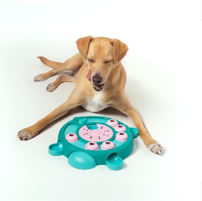 Friends Forever Dog Puzzles Toys with Slower Feeder, Interactive Toy with Food Puzzle for Stimulation and Treat Training Game, Treat Dispenser Toys for Dogs, Tortoise Puzzle