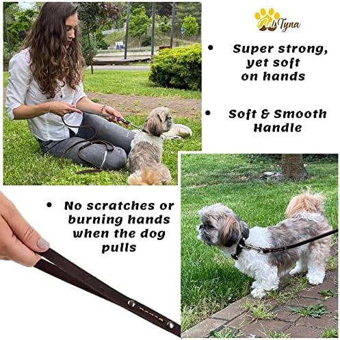 ADITYNA - Premium Leather Dog Leash - 6 ft, Heavy-Duty, Soft & Strong for Small/Medium Dogs - Perfect for Walking, Training, Hiking, and Running (Small: 6 ft x 1/2", Brown)