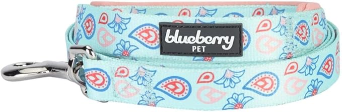 Blueberry Pet 5 Colors Paisley Flower Print Dog Leash with Soft & Comfortable Handle, 4 ft x 1", Pastel Blue, Large, Leashes for Dogs