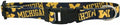 Texas Christian University Pet Team Collar