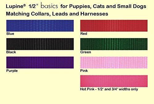 LupinePet Basics 1/2" Black 15-foot Extra-Long Training Lead/Leash for Small Pets