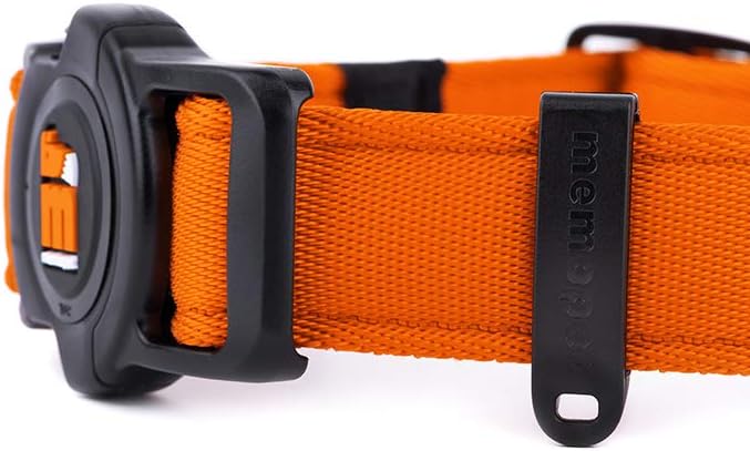 MyFamily Adjustable Polyester Dog Collar Made in Italy, Your Dog's Master Data Always with You, Comfortable and Durable, Handmade, Memopet Collection