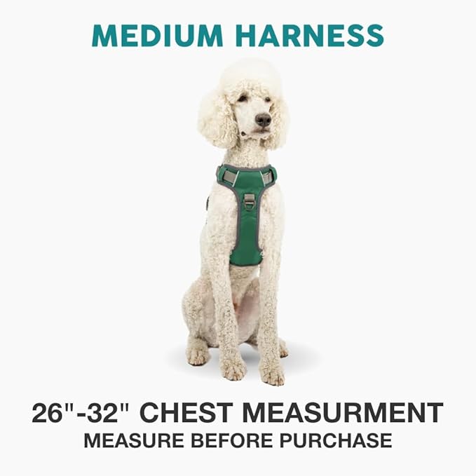 Embark Adventure Dog Harness, Reflective Trim No Pull Dog Harness Medium Sized Dogs - Military Grade Nylon, Front Clip with Gel Lined Handle.