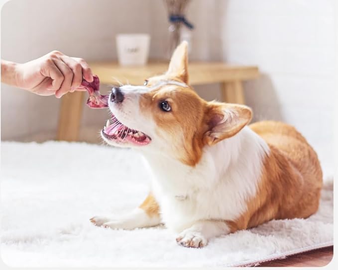 LOS ANDES Dog Chew Toys for Aggressive Chewers,Tough Dog Toy to Keep Them Busy, Durable Indestructible Chew Bone for Medium Large Breeds,Bacon Flavor for Teeth Cleaning