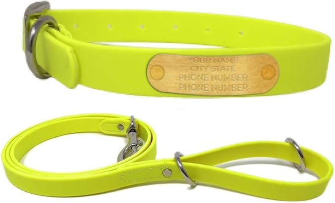 Regal Dog Products Medium Yellow with Custom Engraved Waterproof Dog Collar and Leash Set | Waterproof Dog Collar with Double Buckle & D Ring - 5'ft Leash | Matching Dog Collar and Leash for Dogs