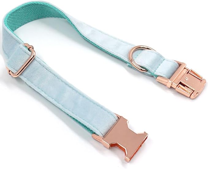 PETDURO Custom Dog Collar Personalized with Name Engraved Quick Release Rose Gold Metal Buckle for Large Medium Small Girl Dogs - Dog Leash and Bow Tie Available - Soft Comfy Velvet (Mint Blue, XL)