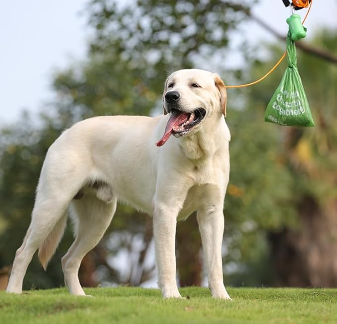 Dog Poop Bags with Handles 300 Counts Big Sizes Leak Proof and Extra Thick Waste Bags for Walking Small Medium Large Dogs Cats Litter Unscented