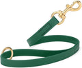 Viper Biothane K9 Working Dog Leash Waterproof Lead for Tracking Training Schutzhund Odor-Proof Long Line with Solid Brass Snap for Puppy Medium and Large Dogs 20in, Hunter Green