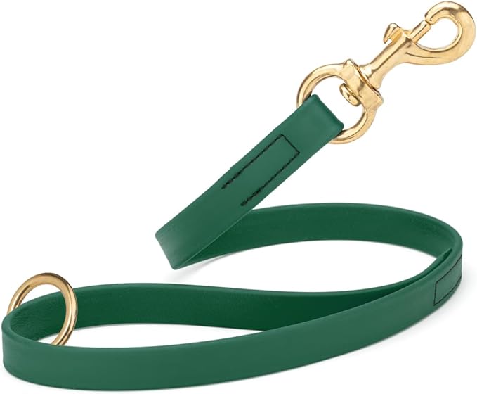 Viper Biothane K9 Working Dog Leash Waterproof Lead for Tracking Training Schutzhund Odor-Proof Long Line with Solid Brass Snap for Puppy Medium and Large Dogs 20in, Hunter Green