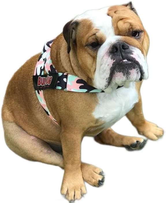 BULLHUG Adjustable Dog Harness– No Pull, No Choke – for English Bulldogs, French Bulldogs, Pugs & Broad-Chested Breeds – Easy, Safe Walks (Pink & Mint Camouflage, Medium)
