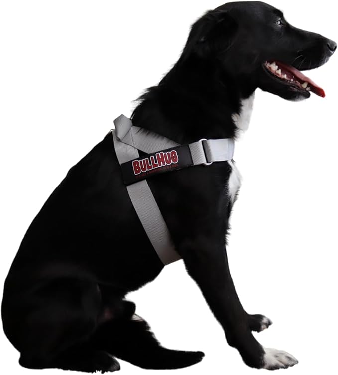 BULLHUG Adjustable Dog Harness– No Pull, No Choke – for English Bulldogs, French Bulldogs, Pugs & Broad-Chested Breeds – Easy, Safe Walks (Silver, Large)