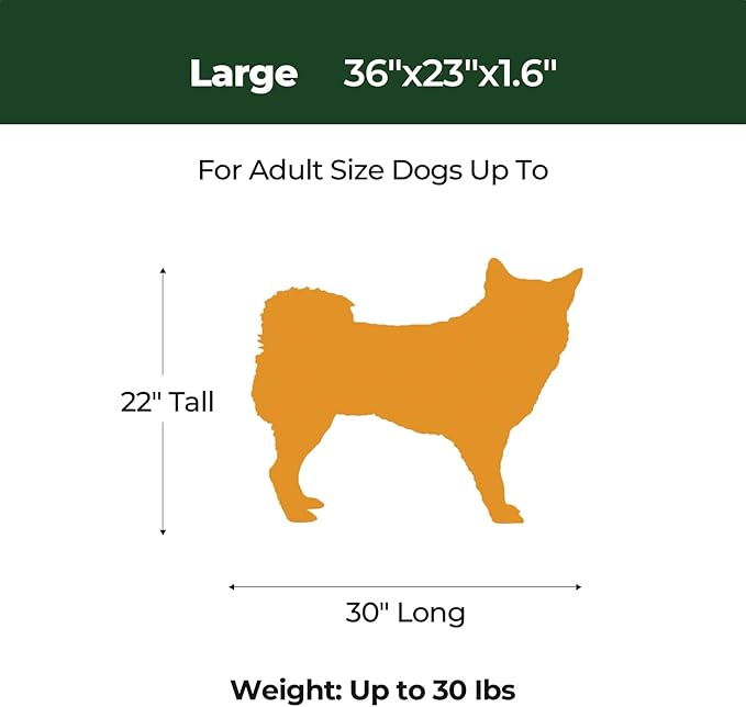 BALANCE Dog Crate Bed, Orthopedic Dog Bed Pad with Waterproof Liner, Washable Crate Foam Pet Mat for Large, Medium, Puppy Dogs Breeds, Mint Leaf, 36“x23”x1.6“