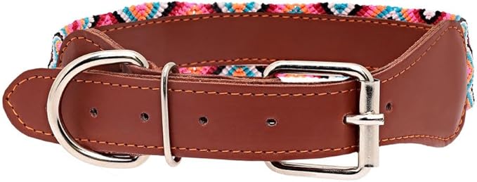 Eternia Premium Leather Dog Collar - Adjustable Handcrafted Collar for Small to Large Dogs (Pink/Orange, XL)