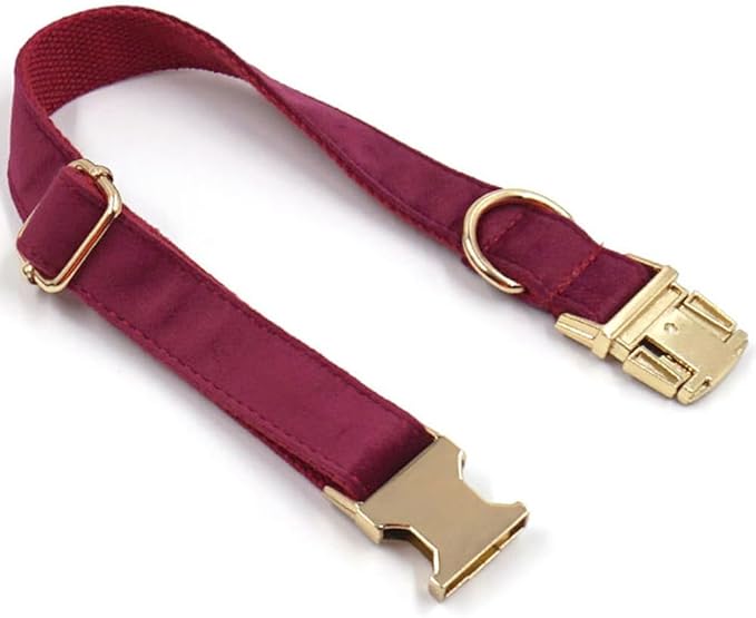 PETDURO Custom Dog Collar Personalized with Name Engraved Gold Metal Buckle for Large Medium Small Girl Dogs - Dog Leash Bow Tie and Harness Available - Soft Comfy Velvet (Claret G, XL)