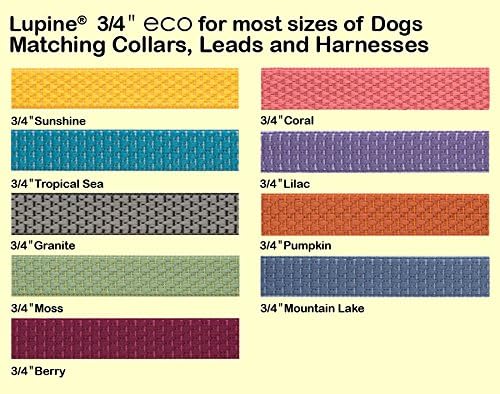 LupinePet Eco 3/4" Mountain Lake 20-30" Step In Harness for Medium Dogs