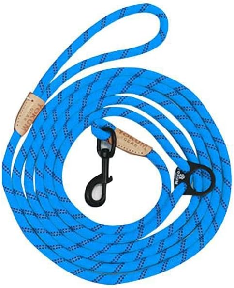 12ft No Pull No Choke Leash Long Rope Dog Leash, Anti Pulling, Dog Leads for Walking, Double Hook & Escape Proof for All Breeds, Reflective Teal