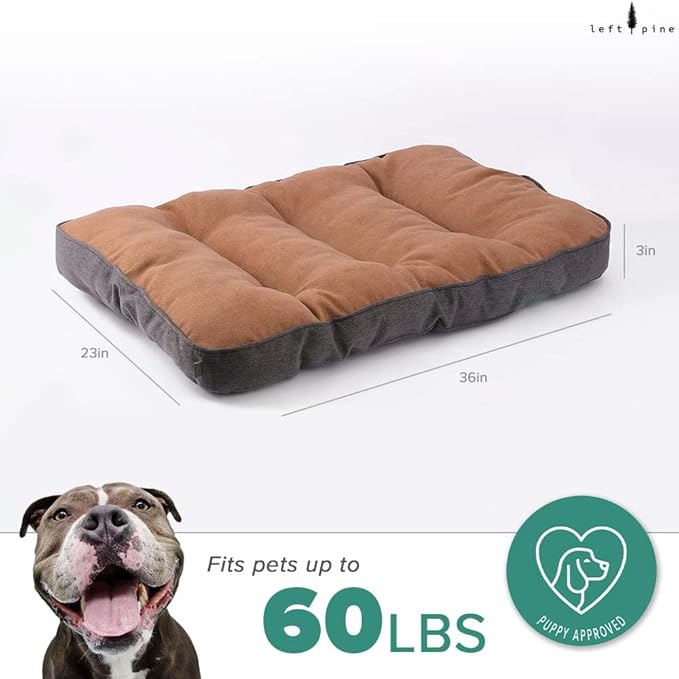 Rounded Corner Essentials Mat, Soft Velvet Pet Bed - Deluxe Sleeping Mat for Small & Medium Dogs - Sturdy Fabric, Recycled Fiber Filling, Machine Washable, Fits in Crate (Medium)