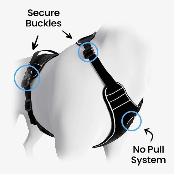 PawPatch Track Dog Harness, Large – No Pull Adjustable Fit Pet Vest, Breathable Soft Padded with 2 Leash Clips, Reflective, Easy On/Off Design with Control Handle for Walking, Training, Hiking