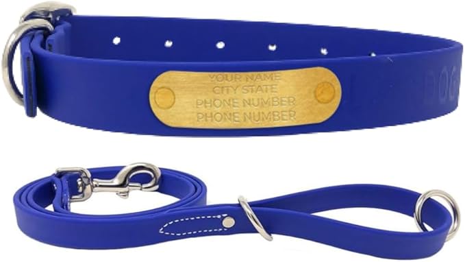 Regal Dog Products Large Blue with Custom Engraved Waterproof Dog Collar and Leash Set | Waterproof Dog Collar with Double Buckle & D Ring - 5'ft Leash | Matching Dog Collar and Leash for Dogs