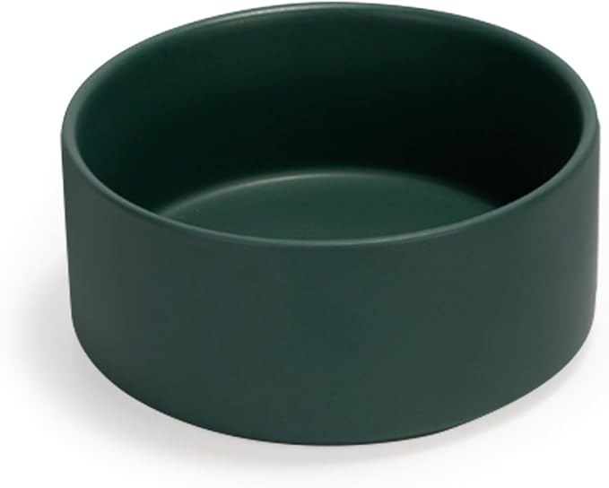 SPUNKYJUNKY 28.7OZ Ceramic Dog and Cat Bowl, Modern Cute Weighted Food Water Bowl for Replacement Green (2 Pack)