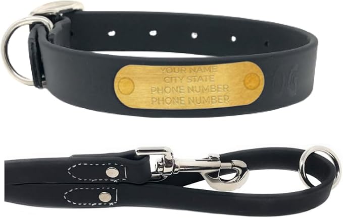 Regal Dog Products Large Black with Custom Engraved Waterproof Dog Collar and Leash Set | Waterproof Dog Collar with Double Buckle & D Ring - 5'ft Leash | Matching Dog Collar and Leash for Dogs