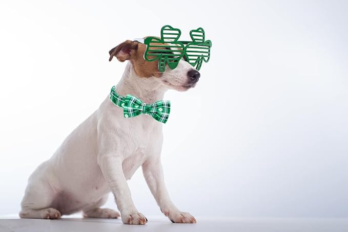 Lionet Paws St Patricks Day Dog Collar with Bowtie, Irish Green Shamrock Clover Bowtie Collar with Metal Buckle for Dog Girl Boy, M, Neck 13.5-22 in