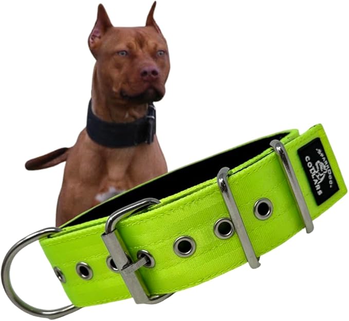 SparkDog Collars Working Dog Collar - 2" 4ply Padded Dog Collar Heavy Duty Stainless Steel Tactical Seatbelt Wide Buckle Collar (Lime 2.0, 16-21" Large)