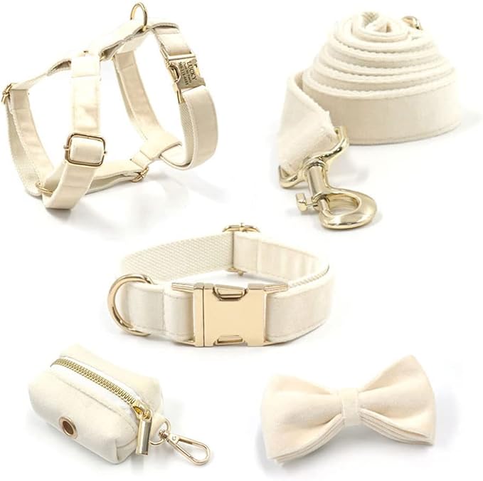 PETDURO Personalized Dog Collar Cream Soft Velvet for Large Medium Small Boy Girl Dogs - Custom Collar with Name Phone Engraved on Gold Metal Buckle - Add Matching Leash Bow Set via Customize Now