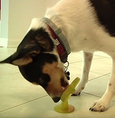 Chase 'n Chomp Suction Cup Popsicle Pet Chew Toy