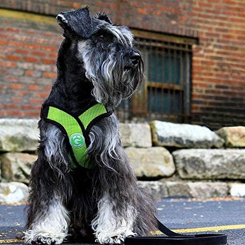 Gooby - Comfort X Step-in Harness, Choke Free Small Dog Harness with Micro Suede Trimming and Patented X Frame, Green, X-Large