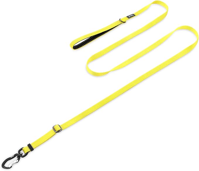 Hyhug Nylon Adjustable 4-6ft Dog Leash with Soft Neoprene Padded Handle, Durable Heavy Duty Leash with Easy-to-Use Bolt Snap, Ideal for Jogging Outdoor