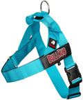 BULLHUG Adjustable Dog Harness– No Pull, No Choke – for English Bulldogs, French Bulldogs, Pugs & Broad-Chested Breeds – Easy, Safe Walks (Teal, Large)