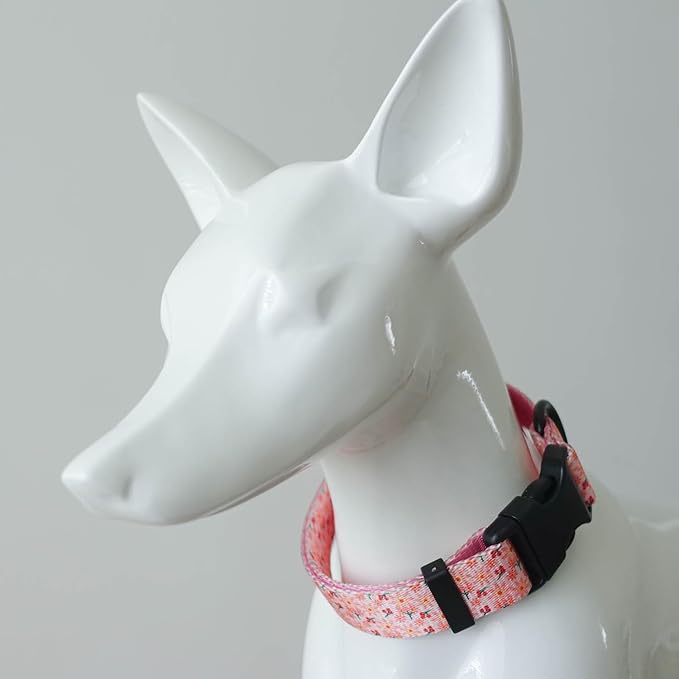 Dog Collars for Medium Dogs - Safety Buckle Durable Plastic Light-Weight,Boy Dogs Collar for Medium Dog Collar with Cute Patterns Soft Adjustable (Pink, M)