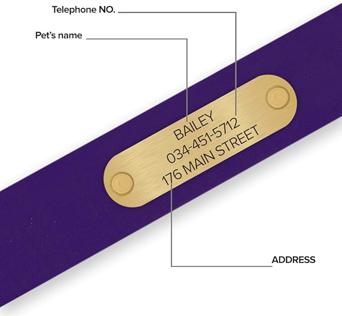 Regal Dog Products Large Purple with Custom Engraved Waterproof Dog Collar and Leash Set | Waterproof Dog Collar with Double Buckle & D Ring - 5'ft Leash | Matching Dog Collar and Leash for Dogs