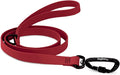 DogTraxs - Essential Dog Leash - Biothane Training Lead - for Small-Large Dogs - Waterproof & Odor Resistant - Self Locking Swivel Carabiner Durable - Made in USA - 5 Feet -Red Garnet